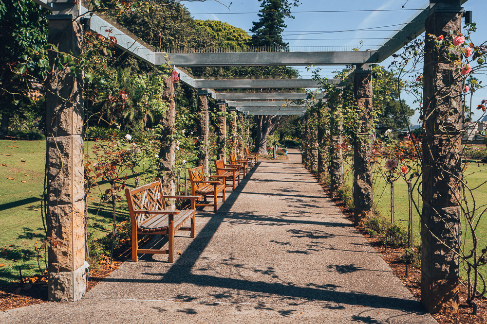 Australien Sydney Botanischer Garten Zweireisende